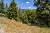 2397 Parmabelle - Photo 6