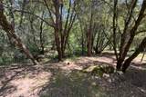 2397 Parmabelle - Photo 8