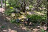 2397 Parmabelle - Photo 9