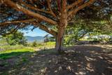 1408 3rd Street - Photo 34