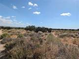 33 Antelope - Photo 5
