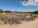 33 Antelope - Photo 6