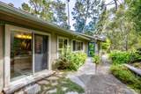 3 Forest Rise Place - Photo 53