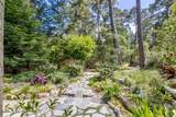 3 Forest Rise Place - Photo 56