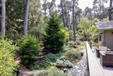 3 Forest Rise Place - Photo 61