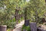 3 Forest Rise Place - Photo 63