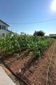 17962 Coyote Lane - Photo 99