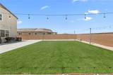 13343 Macaw Place - Photo 29