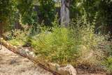 919 Matilija Street - Photo 45