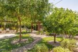 919 Matilija Street - Photo 6