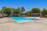 28460 Wild Rose Lane - Photo 59