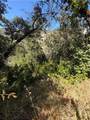 3403 Knob - Photo 1