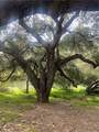 0 Kenwood - Photo 1