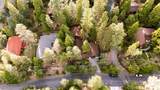 25685 Big Pine - Photo 3
