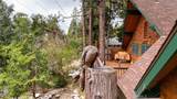 25685 Big Pine - Photo 4