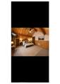 727 Elysian Boulevard - Photo 25