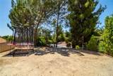 19611 Rosita Street - Photo 42