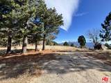 3521 Seymour Road - Photo 8