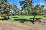 7296 Linares - Photo 35