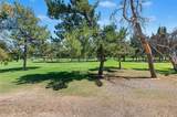 7296 Linares - Photo 38