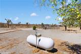 11574 Silver Rock - Photo 34