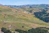 62 Carmel Valley Road - Photo 42