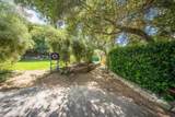 62 Carmel Valley Road - Photo 5