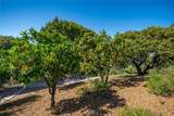 2650 Skyview Trail - Photo 42