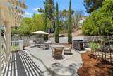 31582 Golden Lion Drive - Photo 64
