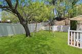 31582 Golden Lion Drive - Photo 68