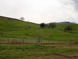 1062 Mountain Shadows Road - Photo 51