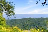 15880 Soda Springs Road - Photo 39