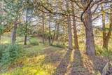 15880 Soda Springs Road - Photo 47