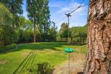 3412 Buena Creek Rd - Photo 39
