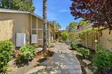 305 Jacaranda Drive - Photo 43