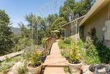 43263 Sugar Pine Dr - Photo 7