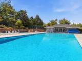 7795 Olive Drive - Photo 34
