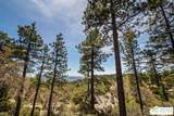 24750 Marion Ridge Drive - Photo 38