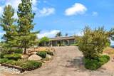 1421 Blue Lilac - Photo 2