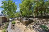 12681 Miraloma Way - Photo 85