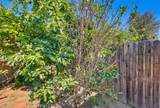 9602 Olive - Photo 64