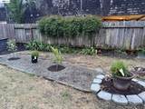 1508 Pacific Ave - Photo 37