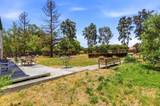 130 Sunrise Drive - Photo 42
