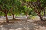 6885 Coyote Canyon Road - Photo 33