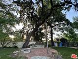 5250 Louise Avenue - Photo 10