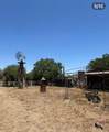 427 Maple - Photo 34