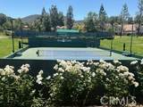 38677 Muirfield Drive - Photo 3