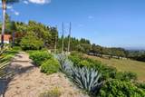 235 Vista Del Pajaro Road - Photo 73