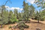 53505 Double View Drive - Photo 30