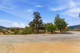 33737 Steele - Photo 12